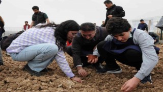 Özel öğrenciler marul ve soğan fidelerini toprakla buluşturdu