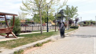 Pamukkale yazı rengarenk karşılayacak