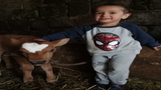 Pat pat devrildi, 3 yaşındaki Yiğit hayatını kaybetti