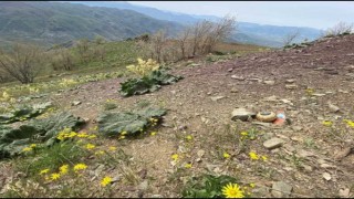 Pençe Kilit Operasyonunda 26 terörist etkisiz hale getirildi