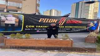 Piton döner, Bağdat ve Adanaya şube açıyor