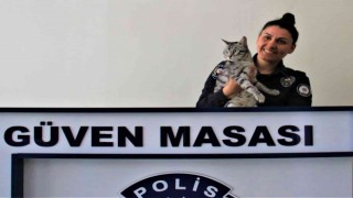 Polisin şefkati, kaza geçiren kediyi yaşama bağladı