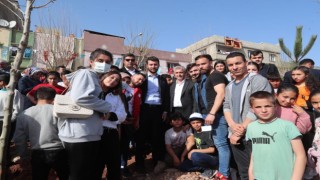 Şahinbeyde ağaçlandırma çalışmaları devam ediyor
