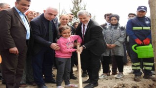 Şahinbeydeki boş arazi ormana dönüşüyor