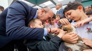 Sahipsiz dostlar İzmirde emin ellerde