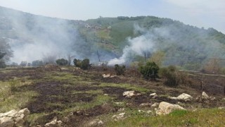 Sakaryada arazide korkutan yangın: Evlere metreler kala söndürüldü