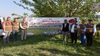 Salihlide ıslah edilen meralar kullanıma açıldı