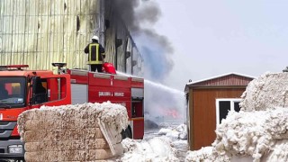 Şanlıurfada fabrika yangını