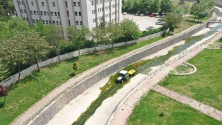 Şanlıurfada ilaçlama seferberliği