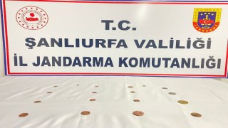 Şanlıurfada Roma dönemine ait tarihi sikkeler ele geçirildi