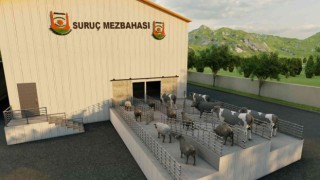 Şanlıurfanın Suruç ilçesine modern mezbaha müjdesi