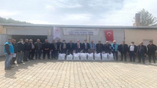 Şaphanede çiftçilere 640 kilogram kuru fasulye tohumu dağıtıldı