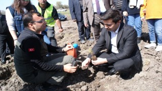 Şehit ve Gaziler için fidan dikildi
