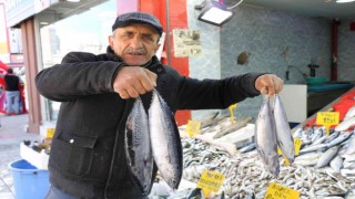 Sezonun son balıkları 15-30 TL arasında tezgahlarda