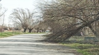 Şiddetli rüzgar Afyonkarahisarda hayatı olumsuz etkiledi