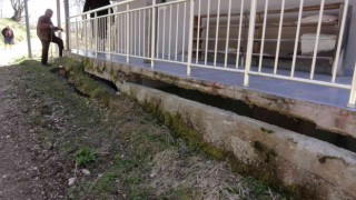 Sinopta 44 yıl önce boşaltma kararı verilen köyde heyelan