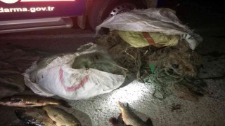 Sinopta yasak avcılık yapan iki şahıs 40 kilo sazanla yakalandı