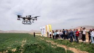 SÜ Ziraat Fakültesi çiftliğinde drone ile ilaçlama yapıldı