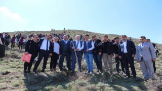 Sungurluda ağaçlandırma seferberliği başlatıldı