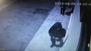 Sürüngen hırsızlar kamerada
