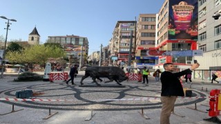 Tahrip edilen Kadıköy Boğa Heykeli kapatıldı