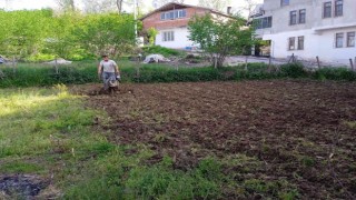 Tarlalarda çapalama işlemi başladı