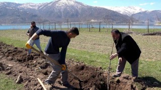 Tatvanda meyve fidanları toprakla buluştu
