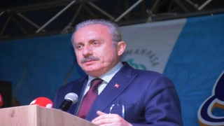 TBMM Başkanı Şentop: Akdeniz göçmen mezarlığına döndü
