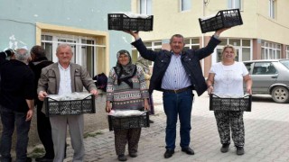 Tepebaşından 12 üreticiye 25 bin çilek fidesi desteği