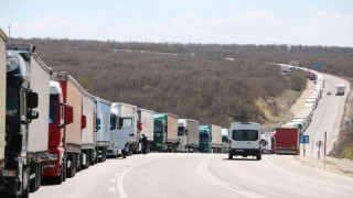 Tır şoförleri yetkililere seslendi: Gümrüklerde çektiğimiz çileleri görün