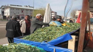 Topladıkları bitkileri satarak geçimlerini sağlıyorlar