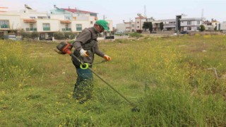 Toroslarda yeşil alanların bakımı yapılıyor