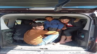 Trafik uygulamasında durdurulan iki araçtan 15 kaçak göçmen çıktı