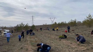 Türkeşin vefatının yıldönümünde fidan dikimi gerçekleştirildi