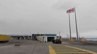 Türkgözü Sınır Kapısı geçici olarak trafiğe kapatıldı