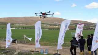 Türkiyede bir ilk: Dron ile ücretsiz ilaçlama