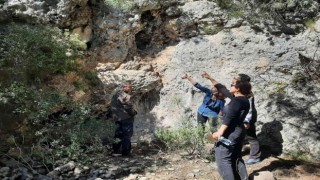Tüylü çan çiçeğinin korunması için çalışmalar sürüyor