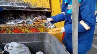 Tuzlada çöpten kurtarılan yavru kediler görenlerin yüreğini burktu
