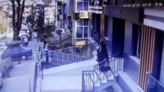 Ümraniyede kedi kavgası