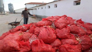 Üreticilerin elinde kalan soğanlar depolarda çürüyor