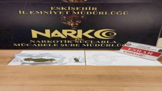 Uyuşturucu madde satıcısı tutuklandı