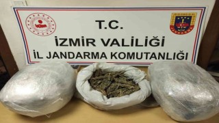 Uyuşturucu tacirinin evinden 13 kilo skunk ele geçirildi