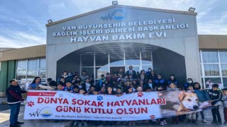 Van Büyükşehirden ‘Sokak hayvanları koruma günü etkinliği