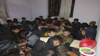 Vanda 50 düzensiz göçmen yakalandı