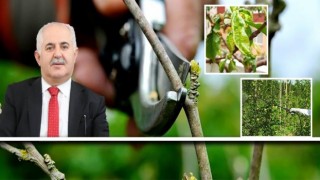Vanda çiftçilere hastalık ve zararlılara karşı mücadele uyarısı