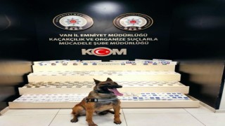 Vanda gümrük kaçakçılığı operasyonu
