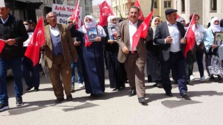 Vanlı ailelerin evlat nöbeti kararlıkla sürüyor