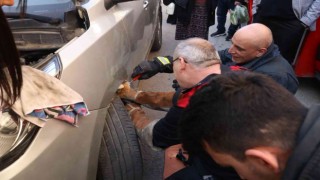 Yalovada otomobil motoruna sıkışan kedi kurtarıldı