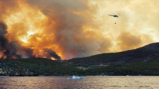Yangınların sosyo-ekonomik etkileri projesi WWF raporunda