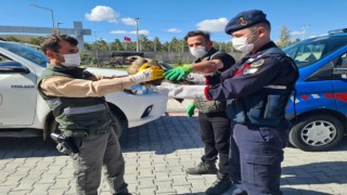 Yaralı bulunan şahine jandarma sahip çıktı